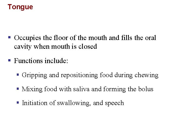 Tongue § Occupies the floor of the mouth and fills the oral cavity when