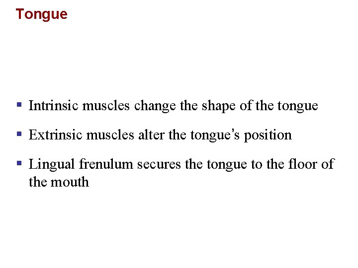 Tongue § Intrinsic muscles change the shape of the tongue § Extrinsic muscles alter