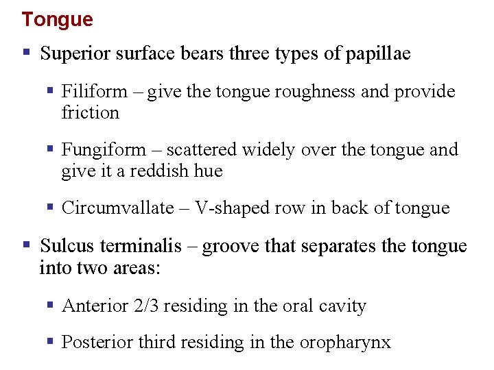 Tongue § Superior surface bears three types of papillae § Filiform – give the