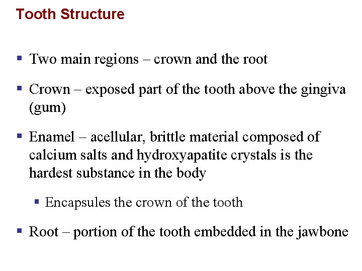 Tooth Structure § Two main regions – crown and the root § Crown –