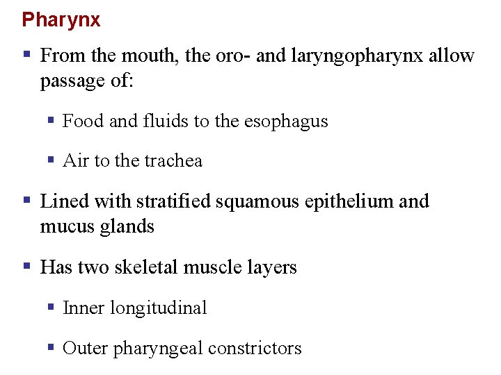 Pharynx § From the mouth, the oro- and laryngopharynx allow passage of: § Food