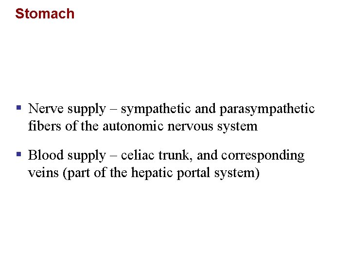 Stomach § Nerve supply – sympathetic and parasympathetic fibers of the autonomic nervous system