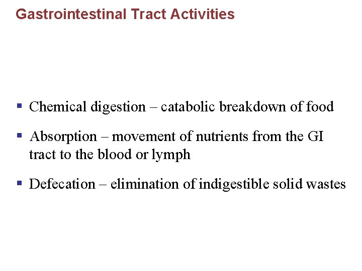 Gastrointestinal Tract Activities § Chemical digestion – catabolic breakdown of food § Absorption –