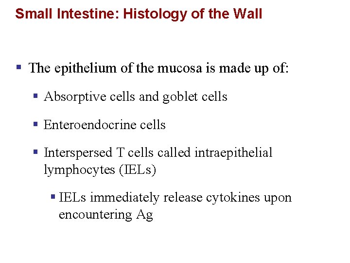 Small Intestine: Histology of the Wall § The epithelium of the mucosa is made