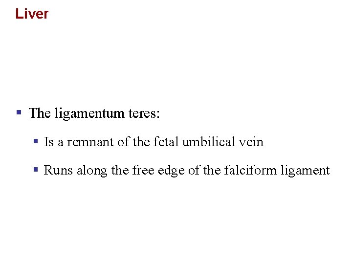 Liver § The ligamentum teres: § Is a remnant of the fetal umbilical vein