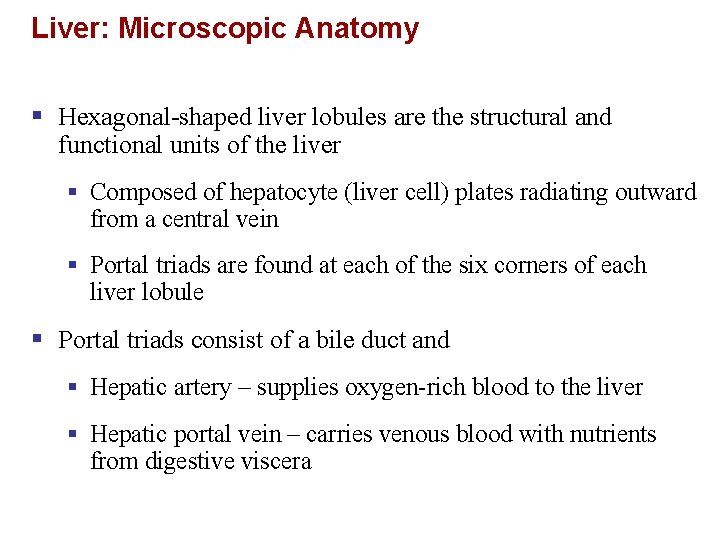 Liver: Microscopic Anatomy § Hexagonal-shaped liver lobules are the structural and functional units of