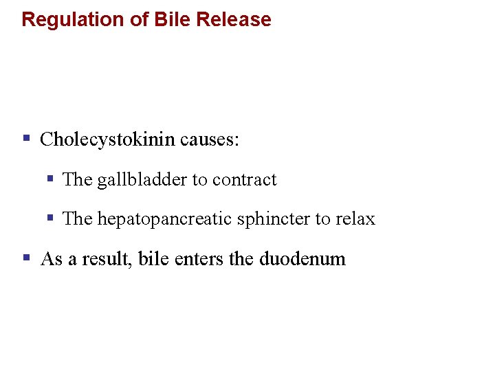 Regulation of Bile Release § Cholecystokinin causes: § The gallbladder to contract § The
