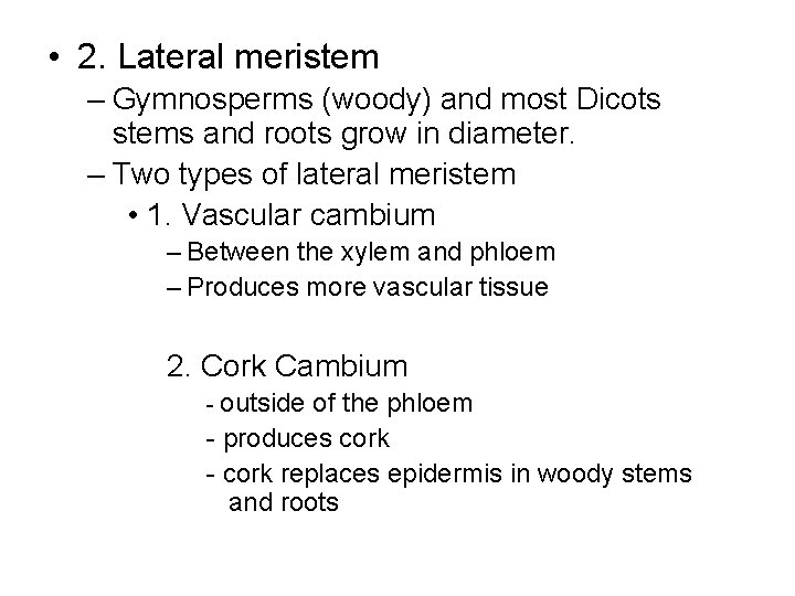  • 2. Lateral meristem – Gymnosperms (woody) and most Dicots stems and roots