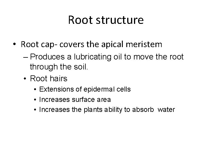 Root structure • Root cap- covers the apical meristem – Produces a lubricating oil