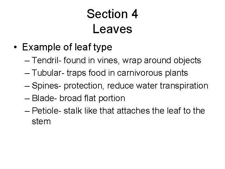 Section 4 Leaves • Example of leaf type – Tendril- found in vines, wrap