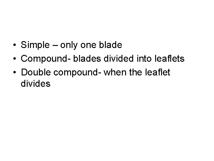  • Simple – only one blade • Compound- blades divided into leaflets •