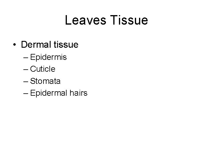 Leaves Tissue • Dermal tissue – Epidermis – Cuticle – Stomata – Epidermal hairs
