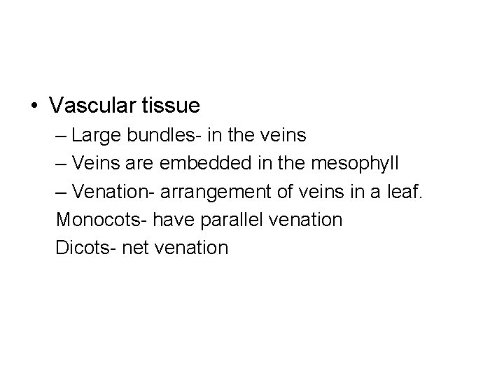  • Vascular tissue – Large bundles- in the veins – Veins are embedded