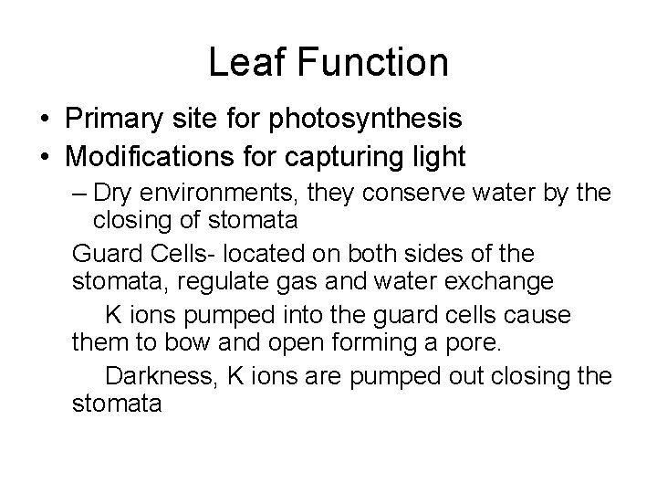 Leaf Function • Primary site for photosynthesis • Modifications for capturing light – Dry