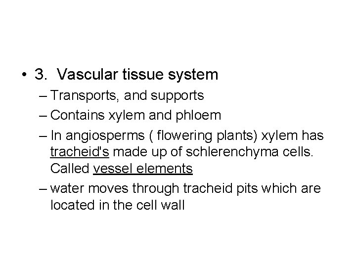  • 3. Vascular tissue system – Transports, and supports – Contains xylem and