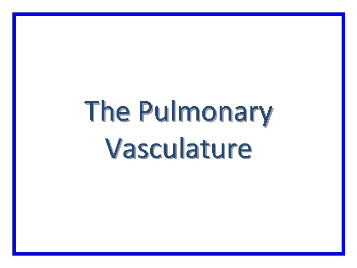 The Pulmonary Vasculature 