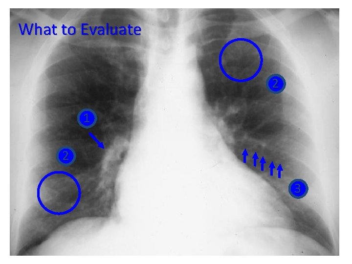 What to Evaluate 2 1 2 3 