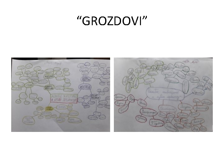 “GROZDOVI” 