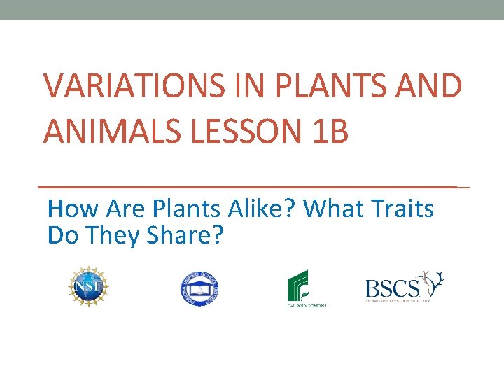 VARIATIONS IN PLANTS AND ANIMALS LESSON 1 B How Are Plants Alike? What Traits