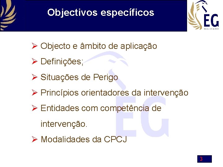 Objectivos específicos Objecto e âmbito de aplicação Definições; Situações de Perigo Princípios orientadores da