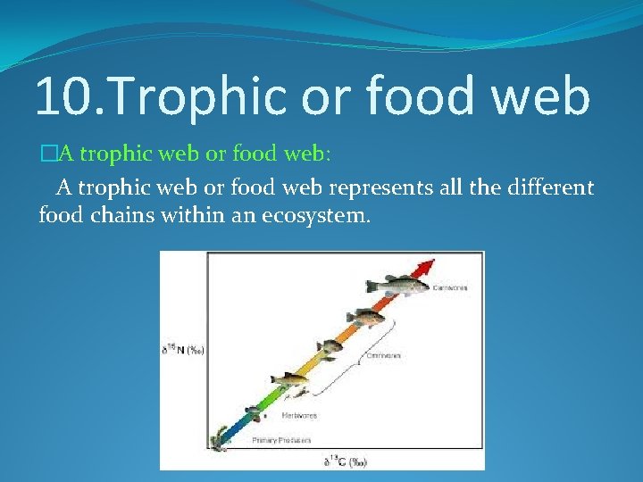 10. Trophic or food web �A trophic web or food web: A trophic web