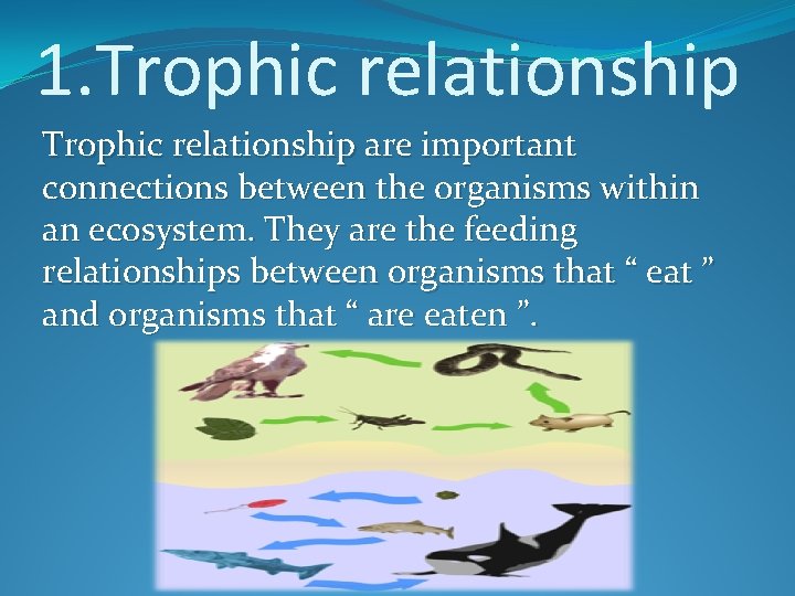 1. Trophic relationship are important connections between the organisms within an ecosystem. They are