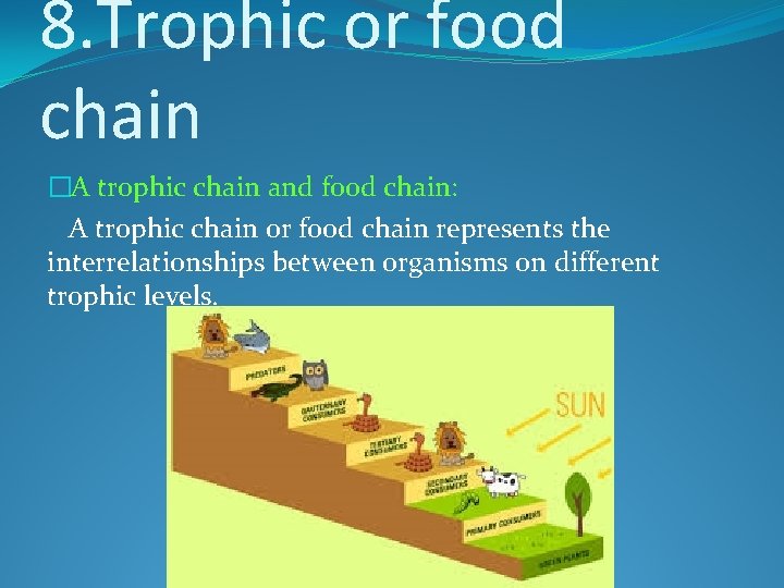 8. Trophic or food chain �A trophic chain and food chain: A trophic chain