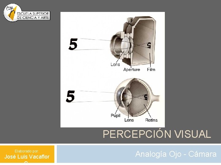 PERCEPCIÓN VISUAL Elaborado por: José Luis Vacaflor Analogía Ojo - Cámara 