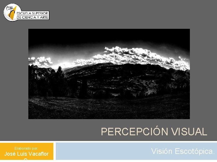 PERCEPCIÓN VISUAL Elaborado por: José Luis Vacaflor Visión Escotópica. 
