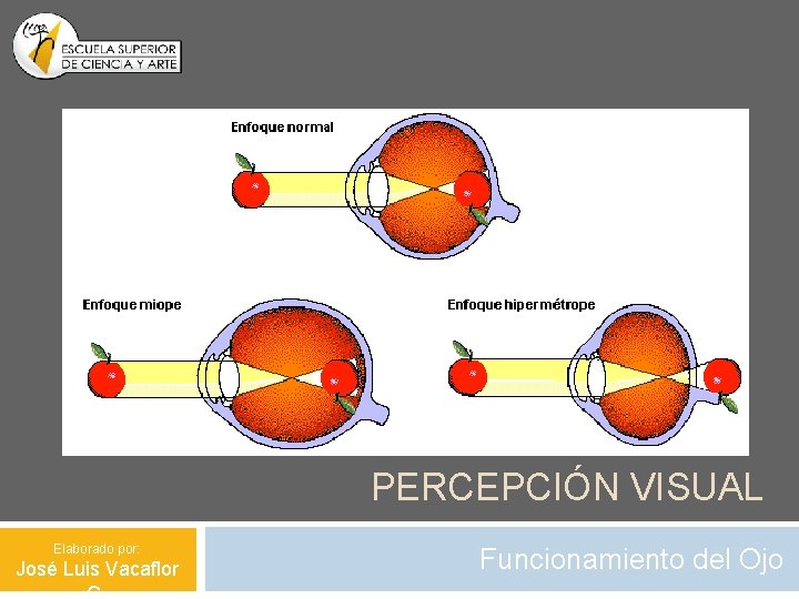 PERCEPCIÓN VISUAL Elaborado por: José Luis Vacaflor Funcionamiento del Ojo 