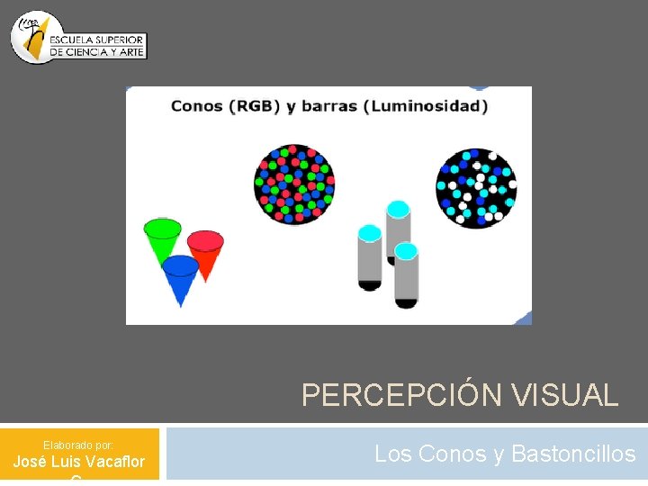 PERCEPCIÓN VISUAL Elaborado por: José Luis Vacaflor Los Conos y Bastoncillos 