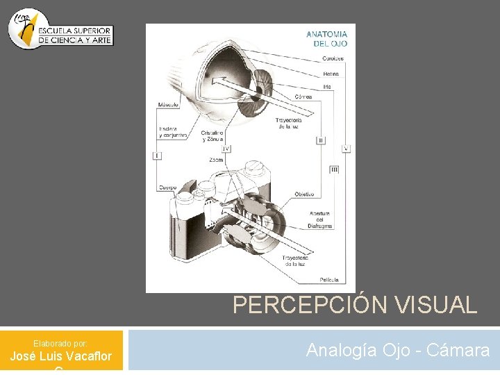 PERCEPCIÓN VISUAL Elaborado por: José Luis Vacaflor Analogía Ojo - Cámara 