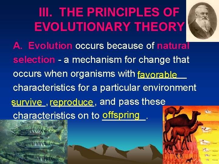 III. THE PRINCIPLES OF EVOLUTIONARY THEORY A. Evolution occurs because of natural selection -