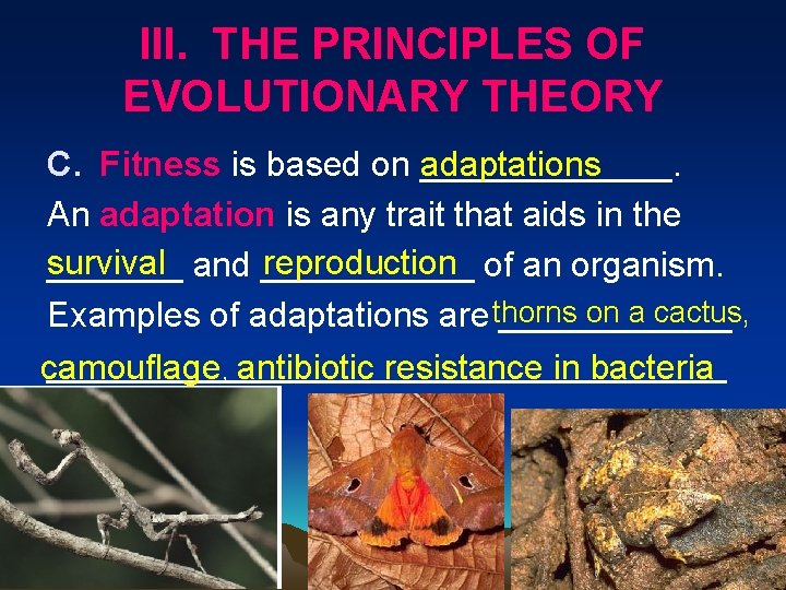 III. THE PRINCIPLES OF EVOLUTIONARY THEORY C. Fitness is based on _______. adaptations An
