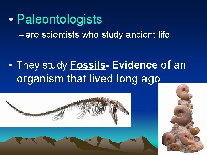  • Paleontologists – are scientists who study ancient life • They study Fossils-