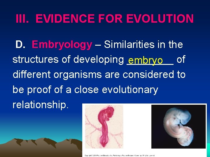 III. EVIDENCE FOR EVOLUTION D. Embryology – Similarities in the structures of developing ____