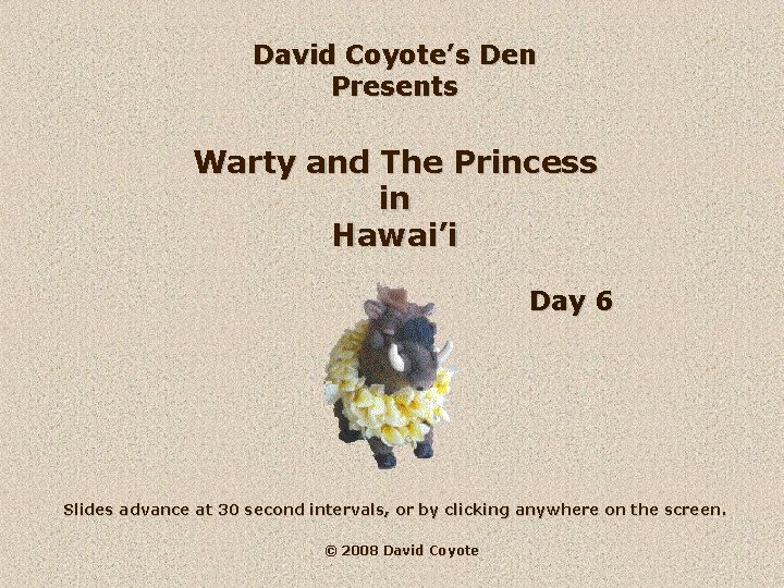 David Coyote’s Den Presents Warty and The Princess in Hawai’i Day 6 Slides advance