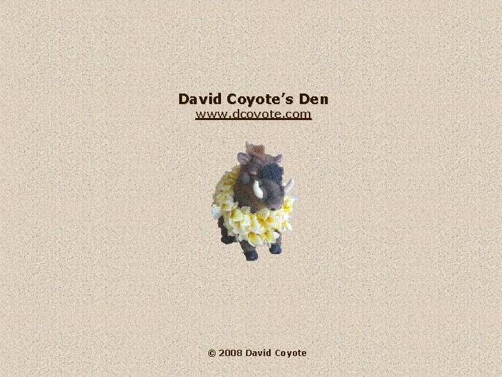 David Coyote’s Den www. dcoyote. com © 2008 David Coyote 