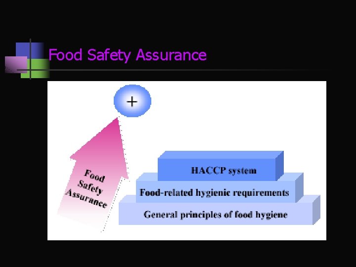 Food Safety Assurance 