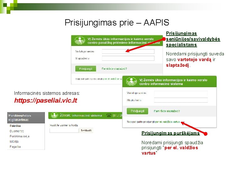 Prisijungimas prie – AAPIS Prisijungimas seniūnijos/savivaldybės specialistams Norėdami prisijungti suveda savo vartotojo vardą ir