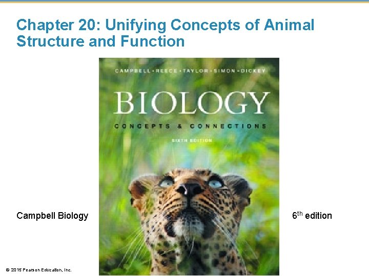 Chapter 20: Unifying Concepts of Animal Structure and Function Campbell Biology © 2015 Pearson