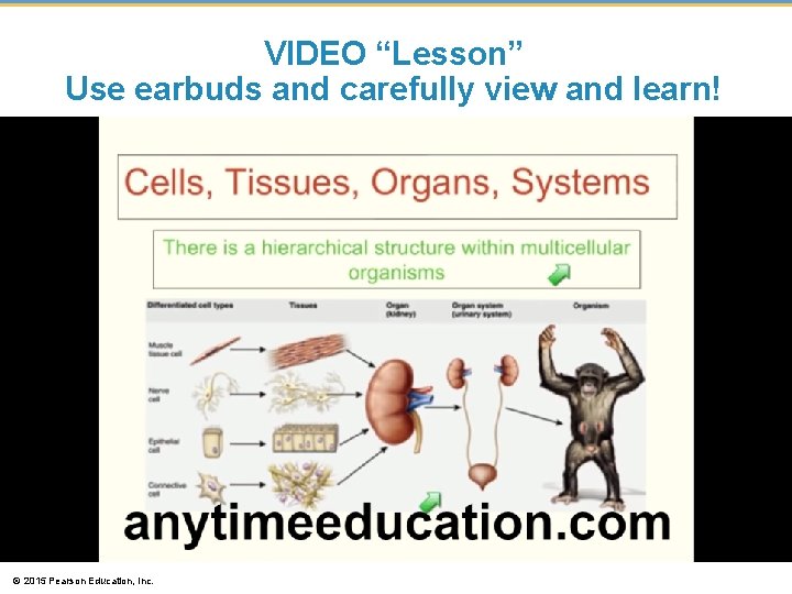 VIDEO “Lesson” Use earbuds and carefully view and learn! © 2015 Pearson Education, Inc.