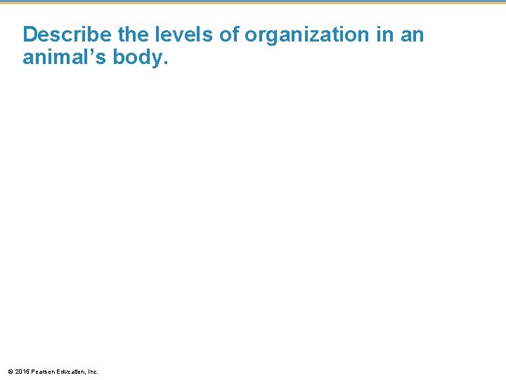 Describe the levels of organization in an animal’s body. © 2015 Pearson Education, Inc.