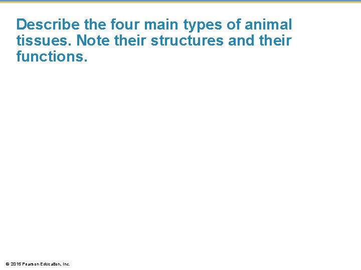 Describe the four main types of animal tissues. Note their structures and their functions.