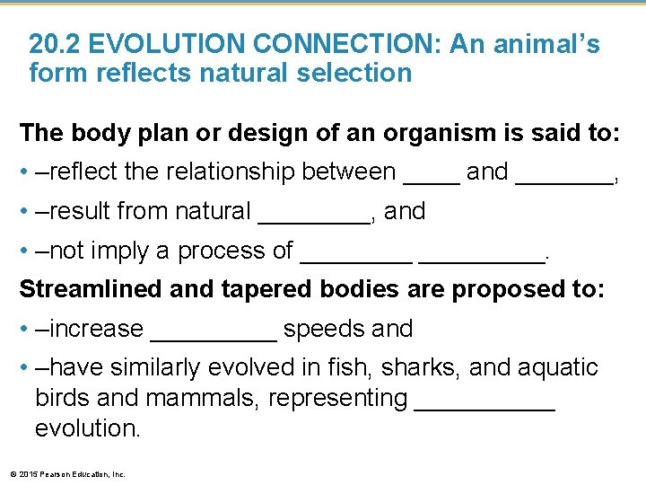 20. 2 EVOLUTION CONNECTION: An animal’s form reflects natural selection The body plan or