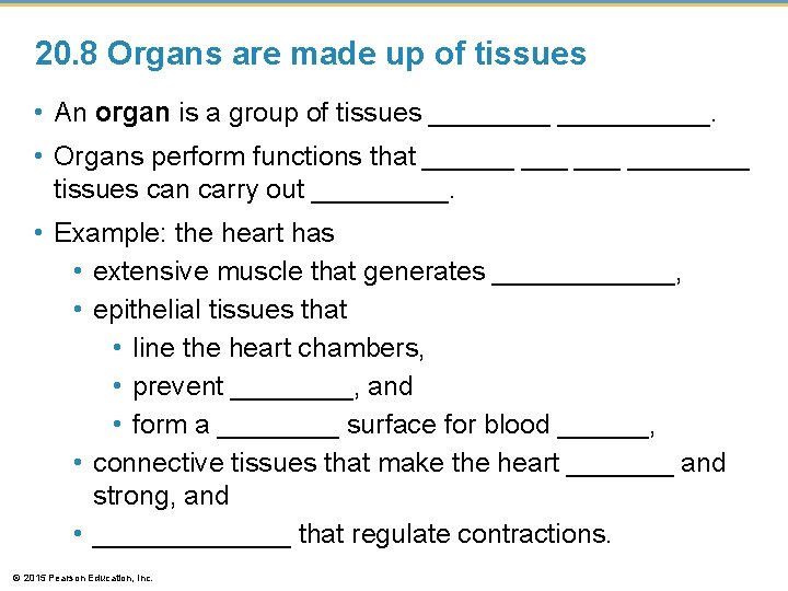 20. 8 Organs are made up of tissues • An organ is a group