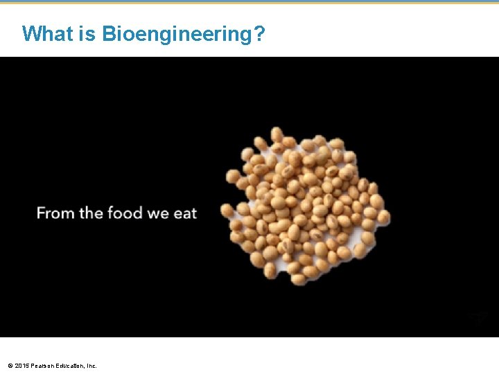 What is Bioengineering? © 2015 Pearson Education, Inc. 