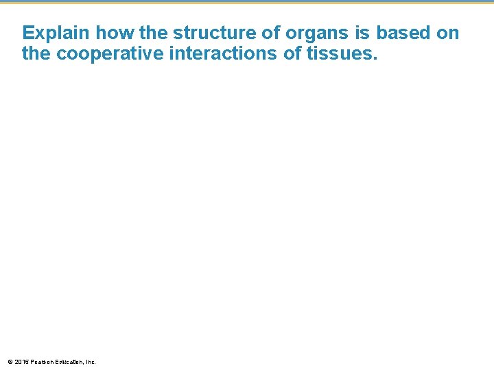 Explain how the structure of organs is based on the cooperative interactions of tissues.