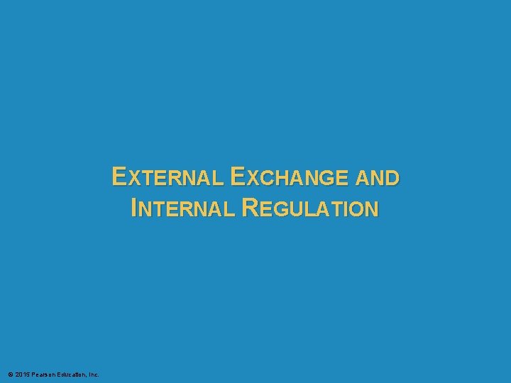 EXTERNAL EXCHANGE AND INTERNAL REGULATION © 2015 Pearson Education, Inc. 