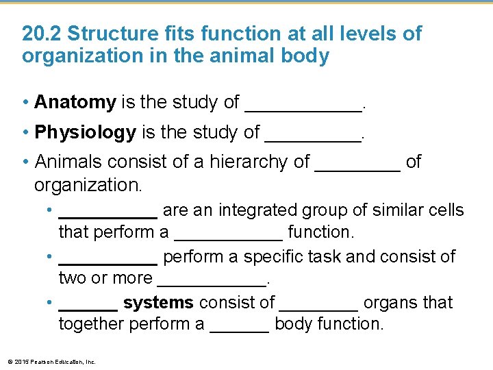 20. 2 Structure fits function at all levels of organization in the animal body